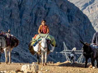 2nd Nomadic Migration – Spring 2024