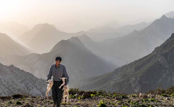 3rd Nomadic Migration – Spring 2025