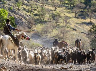 1st Nomadic Migration – Spring 2023