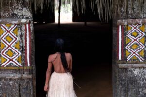 Amazon rainforest indigenous