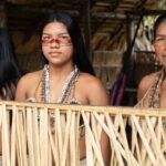 Amazon rainforest indigenous