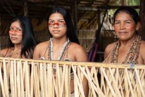 Amazon rainforest indigenous