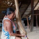 Amazon rainforest indigenous