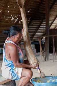 Amazon rainforest indigenous