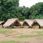 Amazon rainforest tent