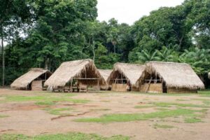 Amazon rainforest tent