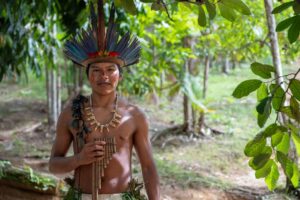 Amazon rainforest indigenous