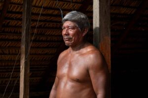Amazon rainforest indigenous