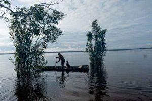 Amazon river
