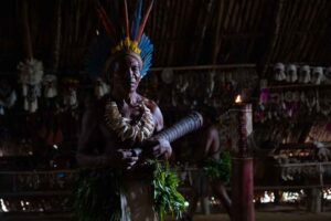 Amazon rainforest indigenous