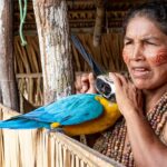 Amazon rainforest indigenous