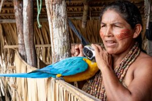 Amazon rainforest indigenous