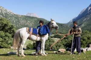 IRAN 2026, Abbas prepares the horse for his brother, Omid. He is a horse handler and is famous for how he deals with the out of control mules.