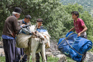 IRAN 2026, Hamid loading the possessions before starting the foot migration with the help of his father and brothers.