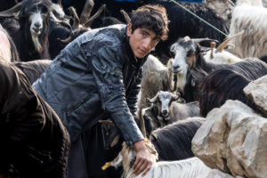 IRAN 2026, Hamid is trying to find the mothers of the born kids to feed them.