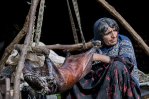 IRAN 2026, Khatoon is Mohammadyar's second wife and she is one of the cores of migration. Everything domestic revoles around her. She is making butter from yogurt in a goat skin.