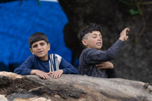 IRAN 2026, Ali and Mesam are enjoying themseves after making a shelter for new born goats.